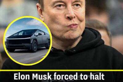 Elon Musk forced to halt all Cybertruck deliveries after glued on parts start falling off