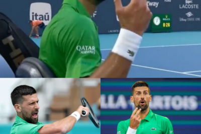 Novak Djokovic lashes out at umpire despite being ‘star-struck’ during Miami Open clash