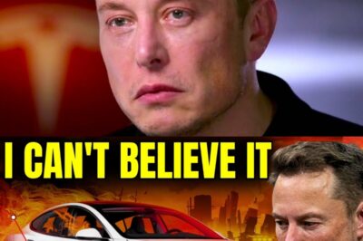Tesla’s Nightmare Quarter: Earnings Collapse, Revenue Plummets, and Wall Street Wonders—Is the Electric Dream Over?