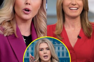 Karoline Leavitt Explodes on Nicolle Wallace Live: Accuses MSNBC Host of Bias in Fiery Clash
