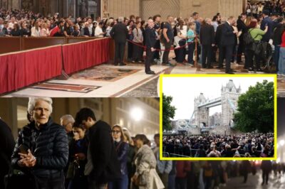 Thousands Endure Endless Lines for Fleeting Moments: Global Mourners Brave Cold, Chaos to Glimpse Pope Francis One Last Time