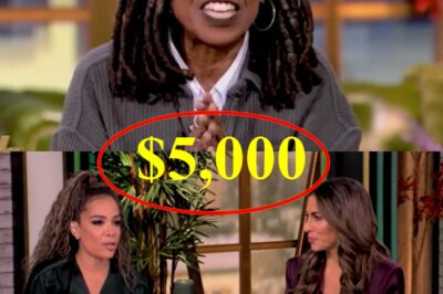 The View’ erupts over $5,000 bonus plan for mothers: