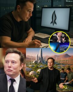 Elon Musk's ambitious projects