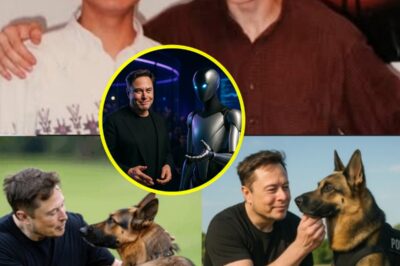 Elon Musk’s Wild College Hustle, Robotic Police Dogs, and the Day He Claimed Robots Would Fall in Love With You: The Billionaire’s Strangest—and Most Human—Moments