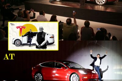 Tesla’s India Dream Collapses: CEO Abruptly Resigns, Elon Musk’s 7-Year Plan to Conquer Billion-Strong Market Fails—Shocking Setback for Electric Car Giant!