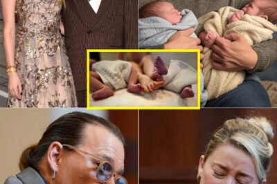 HOLLYWOOD EARTHQUAKE: Amber Heard and Elon Musk Welcome Twins—But Johnny Depp’s Bombshell Claim Sends Shockwaves Through Celebrity World