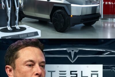 TESLA IN FREEFALL! Once Hailed by Musk as ‘Rising Asset,’ Electric Cars Now Plummet in Price—No Brakes in Sight!