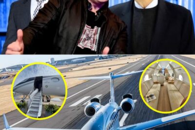 Inside the $65 Million Skies: Musk, Gates, Bezos Fly Near-Supersonic Gulfstream G650ER—Luxury Cabins, Secret Meetings, and Billionaire Power Plays at 700 MPH