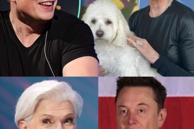 Elon Musk’s Mom Says It’s ‘Degrading’ When People Call Her Son Wealthy Or A Billionaire — Instead She Prefers ‘The Genius Of The World’
