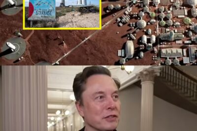 Elon Musk Shocks Fox News: Live On-Air, Tech Mogul Unveils Chilling Prediction That Could Upend American Life—Host Speechless, Viewers Panic!