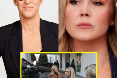 THIS JUST HAPPENED: Rachel Maddow DEMANDS Security Remove Karoline Leavitt From Set After Explosive On-Air Showdown!