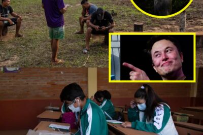 Elon Musk Stunned as Latin American Nation Rejects Billionaire’s Bold Proposal—Historic “No” Sends Shockwaves Through Tech World!
