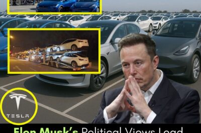 Elon Musk’s Storm: Denmark’s Leading Automaker Sells Off Entire Tesla Fleet—Is This the Beginning of the End for Tesla in Europe?