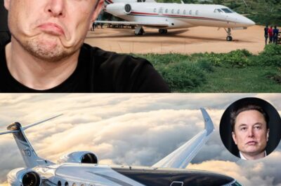 Elon Musk’s Jet Breaks Down in Remote Village—Billionaire CEO Stuns Locals by Dishing Out Food, Fixing Generators, and Hosting Impromptu Town Hall!
