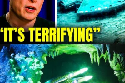 Elon Musk Drops Bombshell: Earth’s Oceans Are an Alien Simulation!