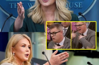 Live TV Chaos Erupts: High-Profile Reporter Suddenly Axed After Unbelievable On-Air Incident—Network in Crisis Mode!