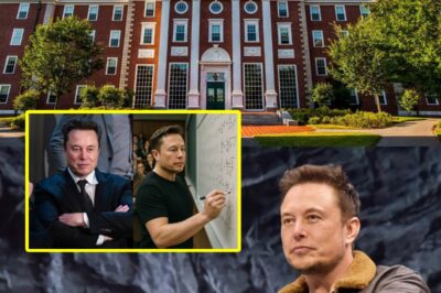 Elon Musk Stuns Academia: Solves ‘Unsolvable’ Problem in 2 Minutes After Harvard Professor Mocks His Intelligence