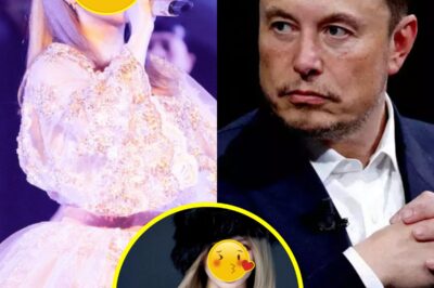 World Stunned as Japanese Superstar Unmasked as Mother of Elon Musk’s Child—Celebrity Identity Finally Revealed After Months of Wild Speculation!