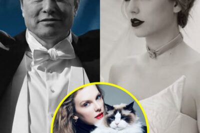 ELON MUSK STUNS THE INTERNET WITH SHOCKING OFFER TO TAYLOR SWIFT: “LET ME GIVE YOU A BABY AND CARE FOR YOUR CAT WITH MY LIFE”