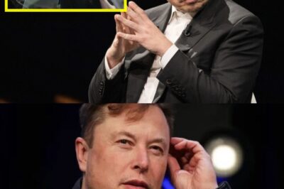 Elon Musk’s Post-White House Nightmare: Billionaire Faces Massive Math Meltdown—Financial Chaos Erupts as Musk Struggles with Numbers, Investments Plunge, and Advisors Flee.