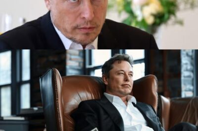 Elon Musk’s Catastrophic Blunder Wipes Out $152 Billion From Tesla in a Single Day—Wall Street Reels as Entire Business Empire Faces Collapse!