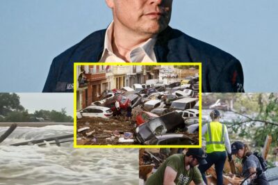World Stunned as Elon Musk Vows to Donate Unprecedented $50 Billion to Disaster Relief