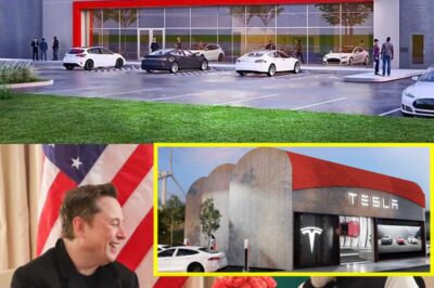 Tesla Shocks the World: Elon Musk Announces Explosive India Launch—First-Ever Showroom Set to Open Amid Massive Hype, Political Drama, and Global Market Shakeup!