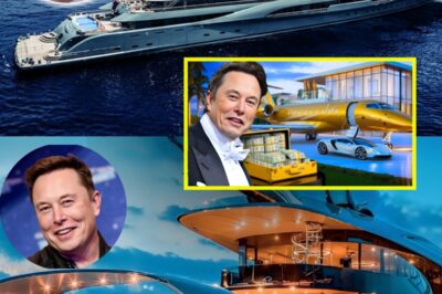  Elon Musk’s Billion-Dollar Obsession: The 5 Most Outrageously Expensive Things He Owns—and the Shocking Controversies Behind Them