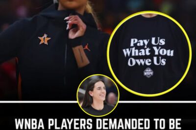 WNBA Stars Demand Fair Pay: Are Female Hoops Icons Being Cheated Out of Millions?