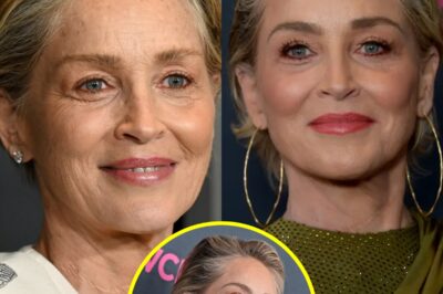 BREAKING: Sharon Stone Goes Viral—Hollywood Icon’s “Americans Are Uneducated” Statement Sends Shock Across the Country