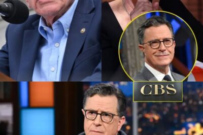 Hollywood Erupts: Stars, Politicians, and TV Hosts Unite to Support Colbert