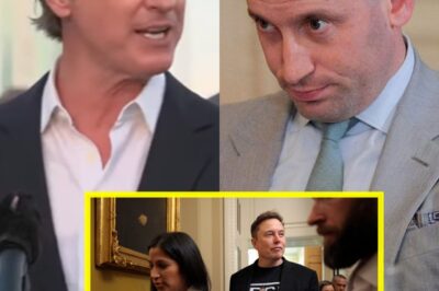 Gavin Newsom’s Team Drops F-Bomb on Stephen Miller—Insider War Erupts Over Explosive Rumors Linking Miller’s Wife and Elon Musk!