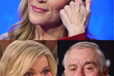 UNBELIEVABLE: The Entire Studio Froze as Megyn Kelly to Call Robert De Niro a ‘Washed-Up Name’ — And with Just 5 Words, He Left Robert De Niro Speechless on Live Broadcast!