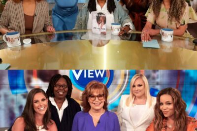 BREAKING: The View Plunged Into Chaos—Indefinite Hiatus Sparks Fears of Permanent Cancellation!