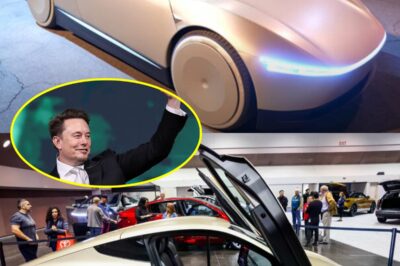Elon Musk Abandons Electric Cars for Robots