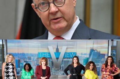 ABC CEO Drops Bombshell: “The View Is Officially Cancelled!”—Network Reveals Shocking Reasons Behind the Decision